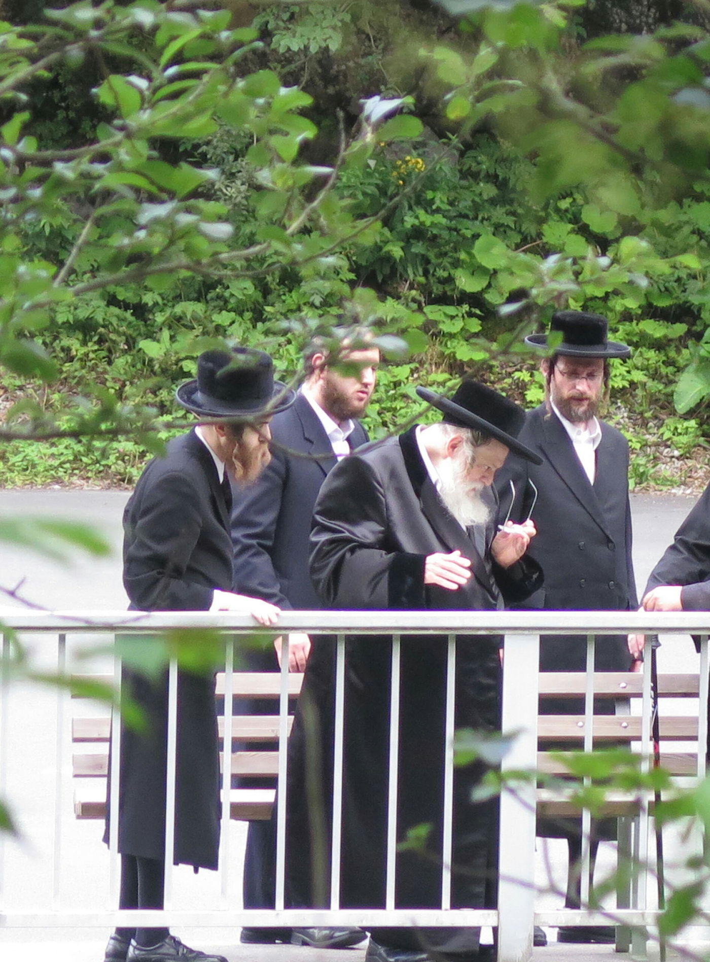 תיעוד: הרבי מתולדות אברהם יצחק בנופש בהרי האלפים בשוויץ