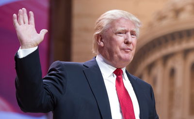 הנקמה של דונלד טראמפ: פרסם את מספר הטלפון של יריבו לינדזי גרהאם