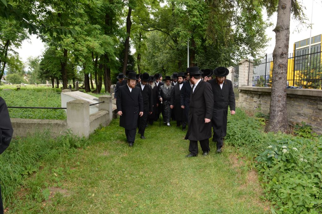 גלריה מסכמת: המסע של האדמו"ר מסאטמר