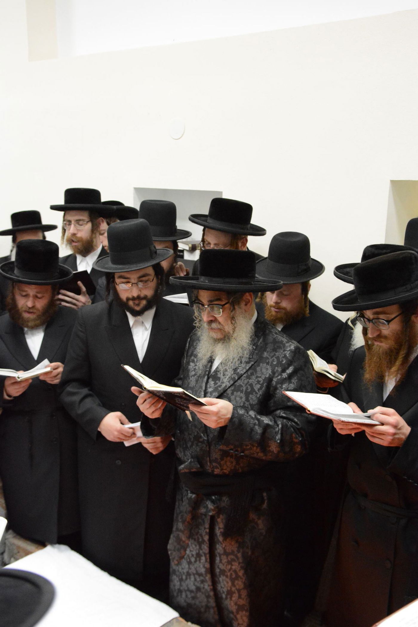 גלריה מסכמת: המסע של האדמו"ר מסאטמר