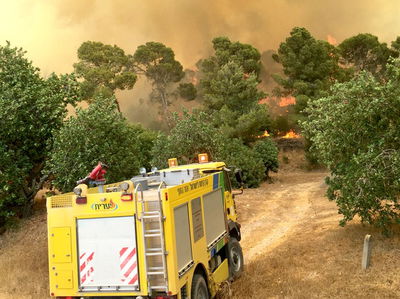 שידור חי: שריפת ענק באזור בית שמש; נערכים לפינוי ישובים