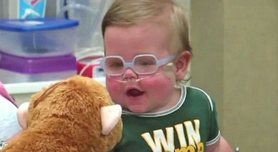 מרגש: הפג שהפתיע ושרד נגד כל הסיכויים