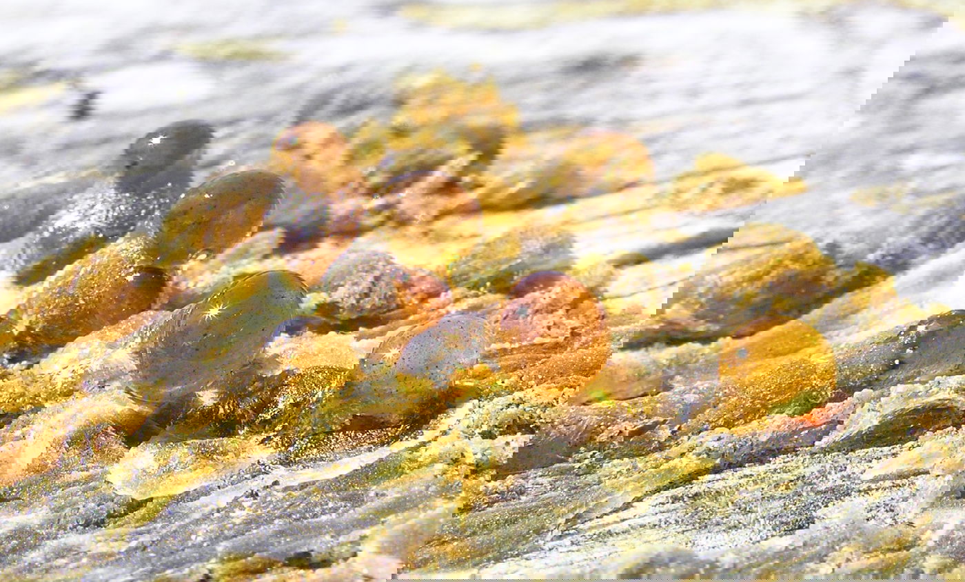 ציפוי פוליאוריאה - החידושים בתחום ציפויי השרף