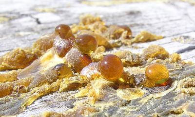 ציפוי פוליאוריאה - החידושים בתחום ציפויי השרף