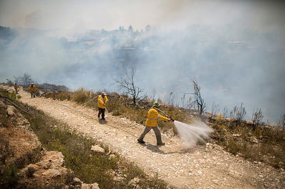 השריפה, היום