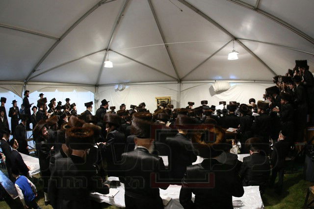 שמחת הפארשפיל בשמחת בית ספינקא מונסי • גלריה