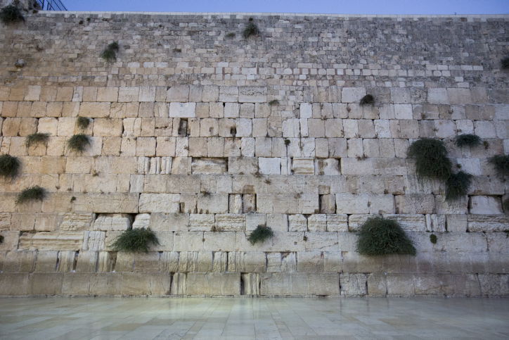 עשרות ספרי תורה הוכנסו בכותל המערבי • גלריה