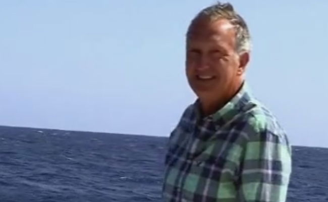 אופס: הכתב טען שאין לוויתנים ואז הופתע