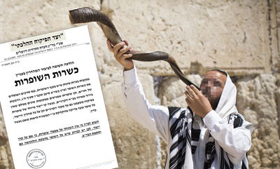 הבד"צ מזהיר מפני בעיות כשרות קשות בענף השופרות: מומחים בענף, "אלפי שופרות פסולים הוכנסו לארץ"