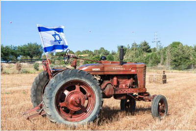 למכירה ב-eBay: הטרקטור הראשון של ראה"מ המנוח אריאל שרון