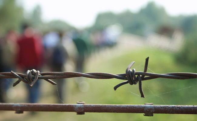 אילוסטרציה