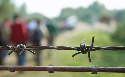 אילוסטרציה