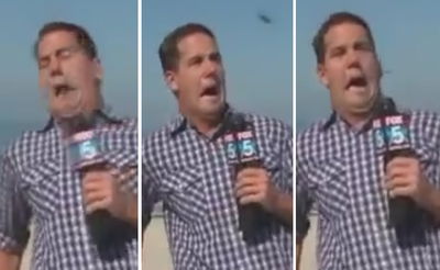 הכתב נבהל מהחרק וגילה כי הוא בשידור חי