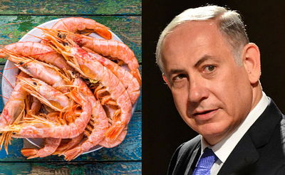 נתניהו לצד שרימפסים