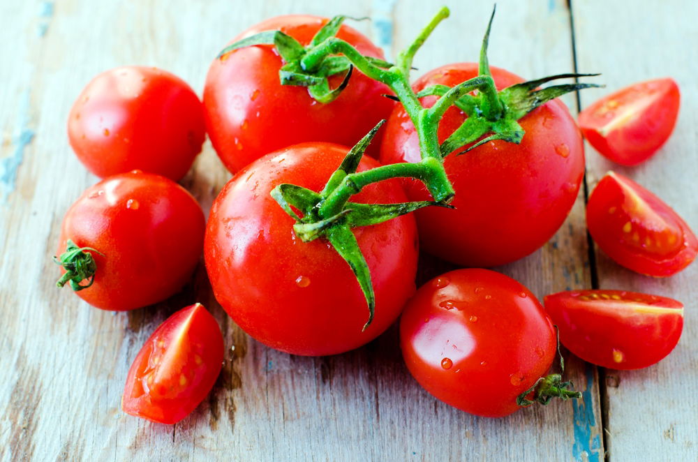 כך שומרים על עגבניות טריות ועסיסיות