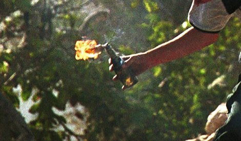 בקבוקי תבערה הושלכו לעבר בתים בארמון הנציב וגרמו לנזק