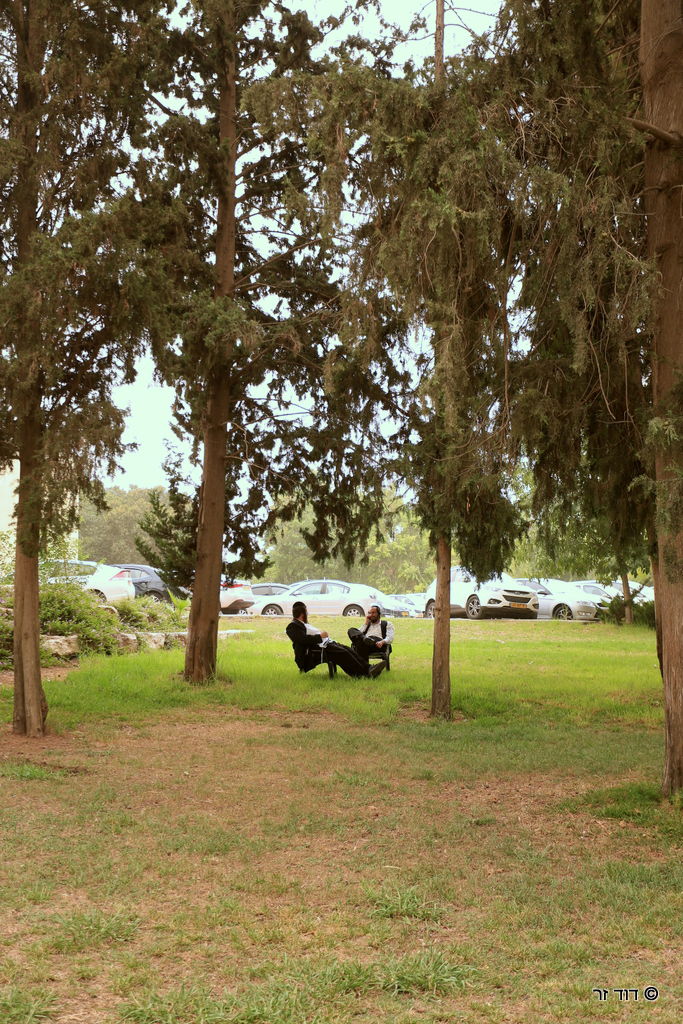"יום בית המדרש" לבעלי בתים ואנשי עסקים • גלריה