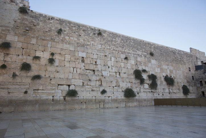 הכותל המערבי