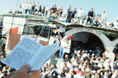 התיקון הכללי. גם הילדים מצטרפים