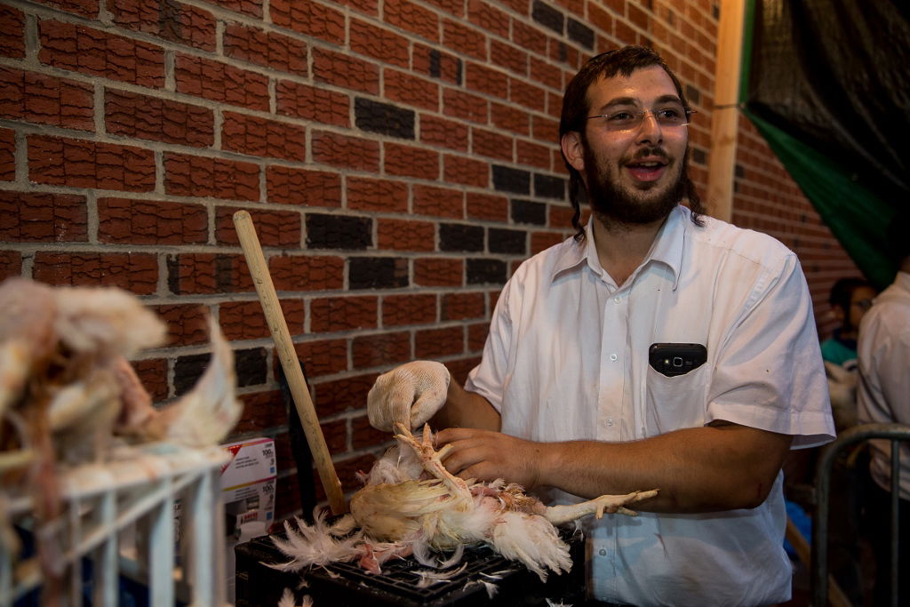 זֶה תְּמוּרָתִי, זֶה כַּפָּרָתִי; גלרית ענק מהכפרות מבורו פארק