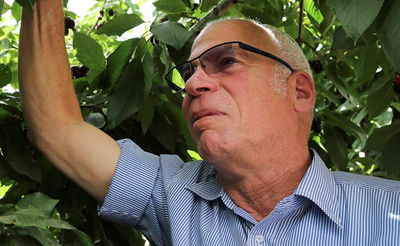 רבני הציונות הדתית לאריאל: תמשיך לעלות להר הבית