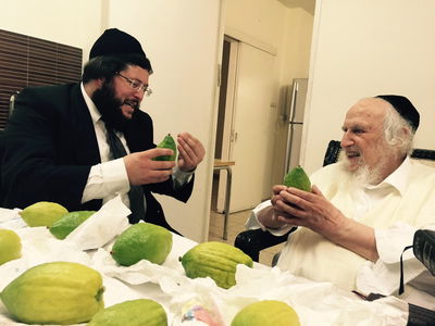 תיעוד: הגר"ש אוירבך בוחר אתרוגים לחג הסוכות
