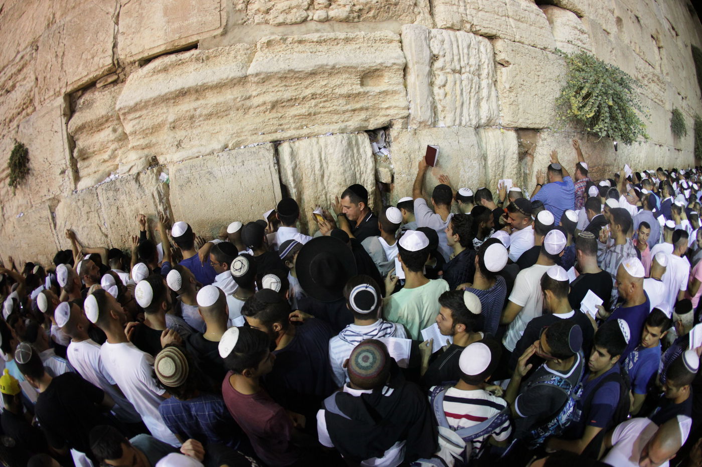 תיעוד: רבבות בעצרת הסליחות בכותל המערבי