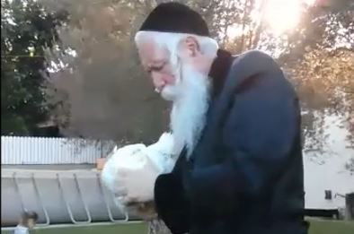 צפו: ה"כפרות" של הרב יצחק דוד גרוסמן