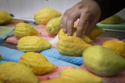 נילי גינגולד אלשיך, Mame