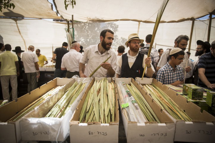 מתכוננים לחג הסוכות בירושלים ובתל אביב • צפו בתיעוד