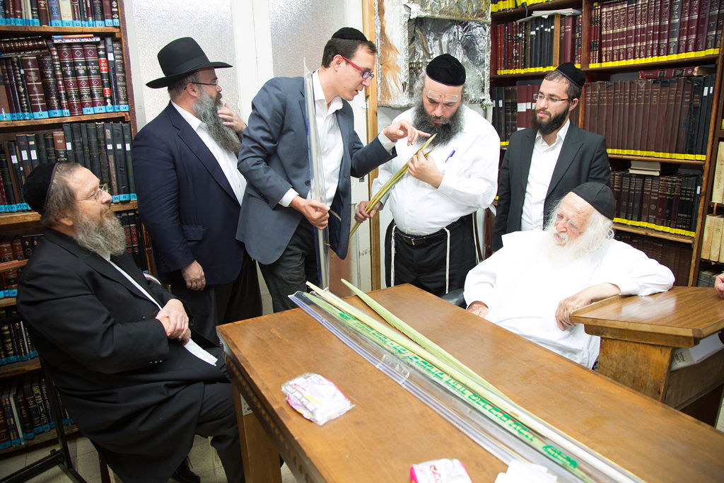 תיעוד: הלולבים של גדולי ישראל