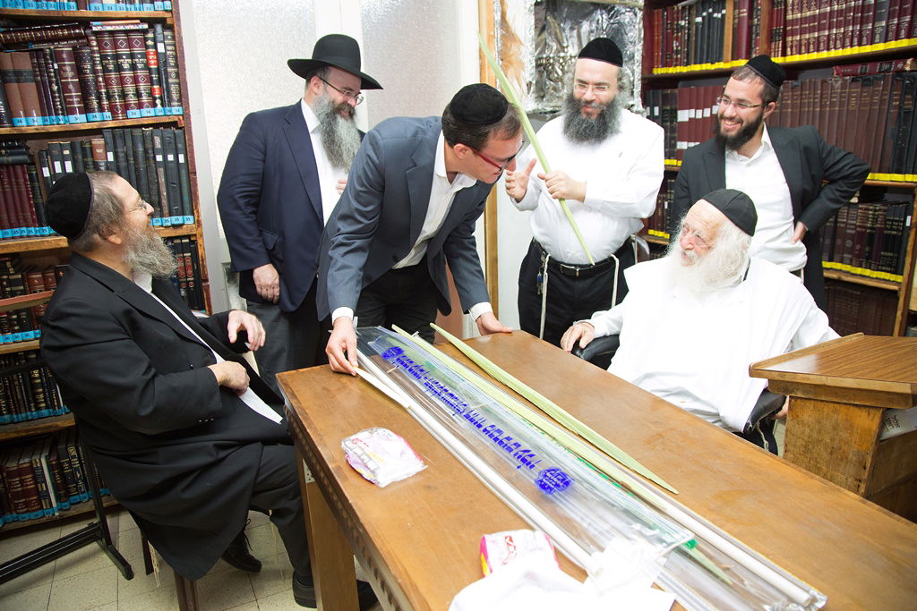 תיעוד: הלולבים של גדולי ישראל