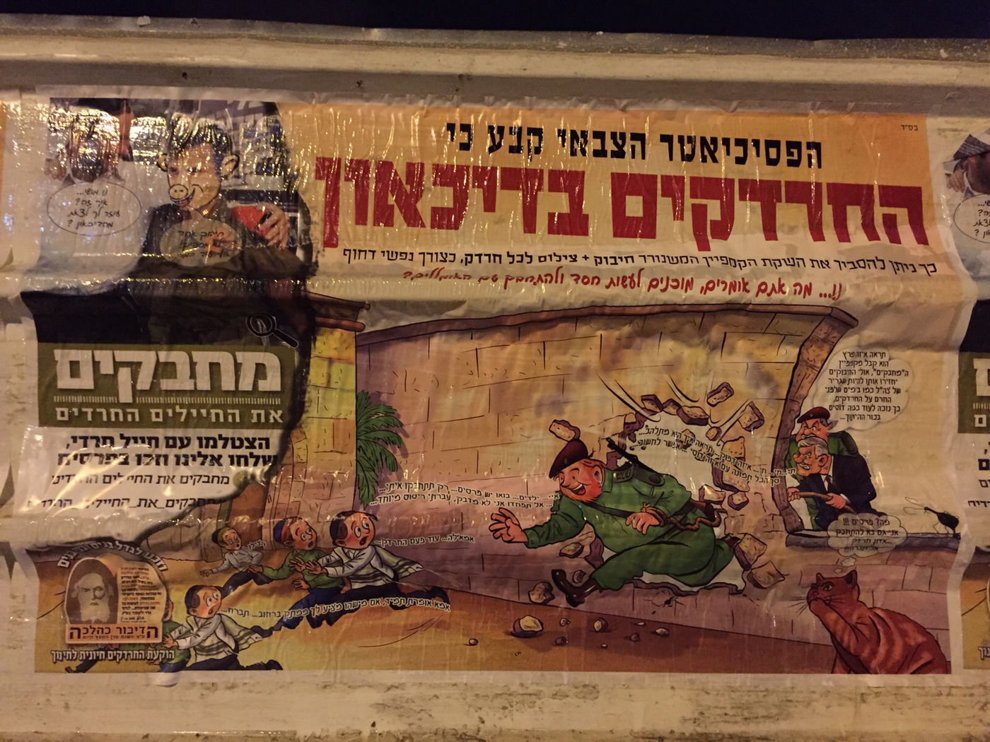 הקמפיין החדש