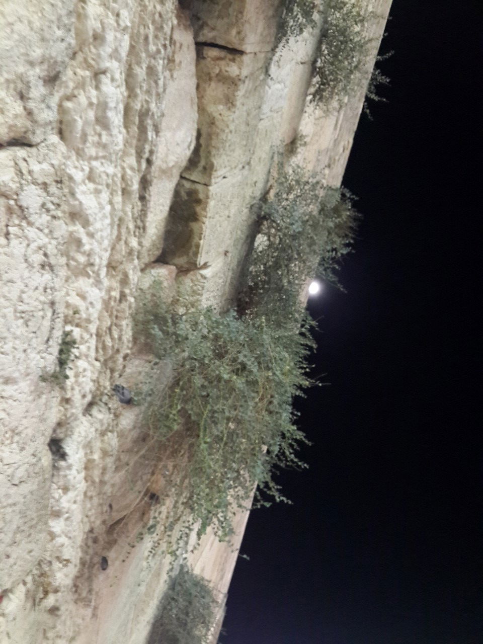 תיעוד מיוחד: הכותל המערבי באמצע הלילה