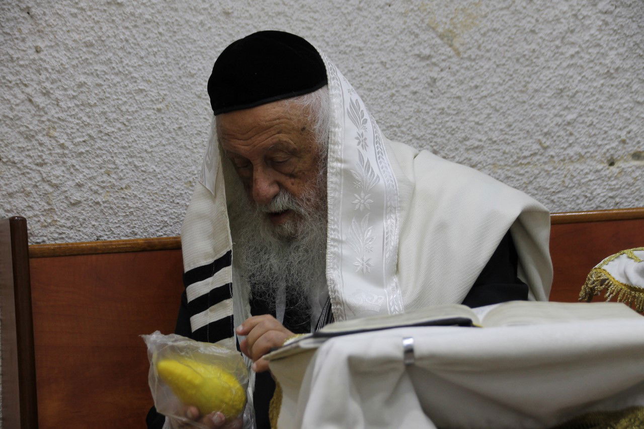 סוכות במחיצת הגרב"ד פוברסקי והאדמו"רים מסאדיגורה, מודזי'ץ ודארג • תיעוד