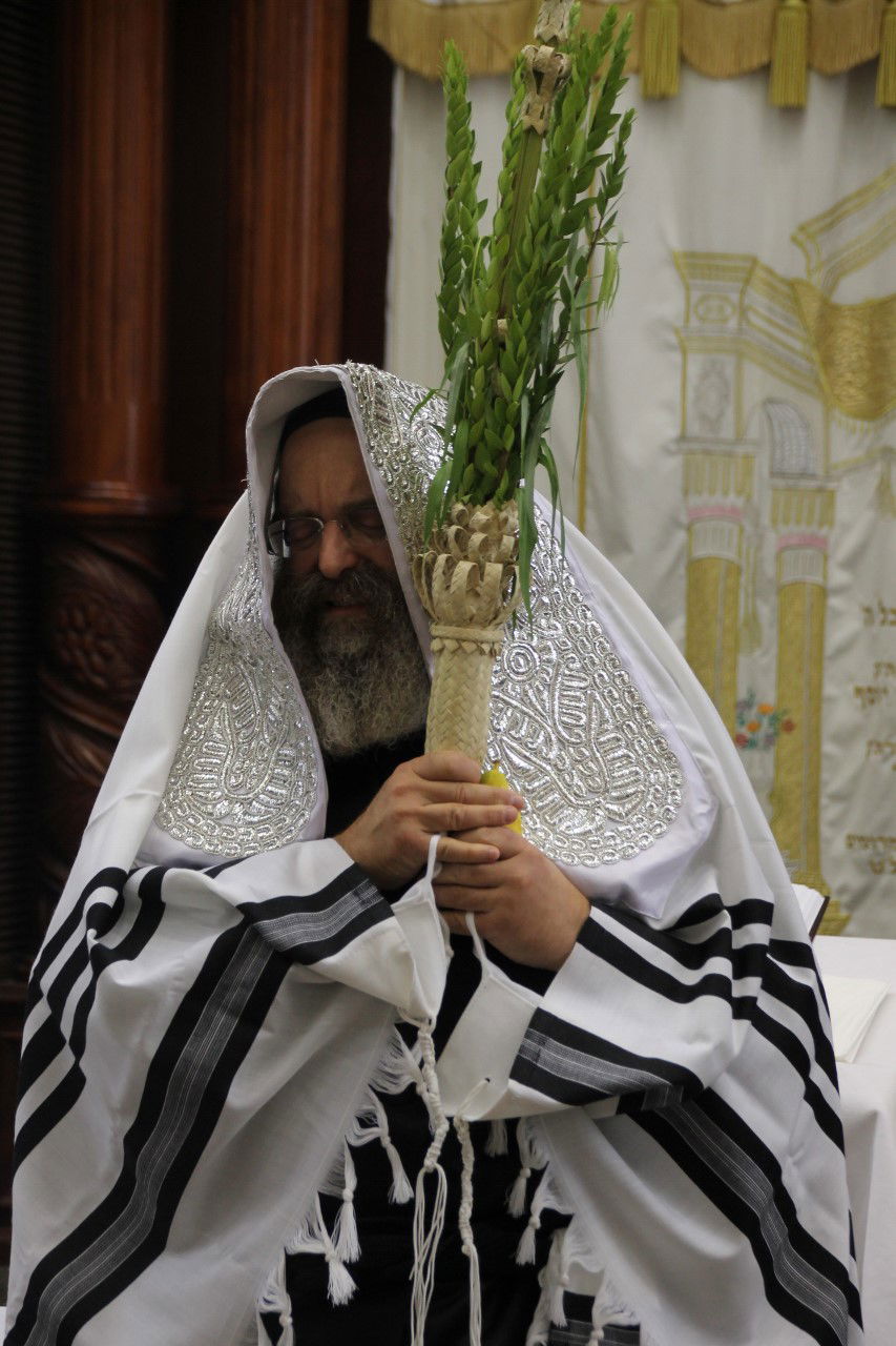 סוכות במחיצת הגרב"ד פוברסקי והאדמו"רים מסאדיגורה, מודזי'ץ ודארג • תיעוד