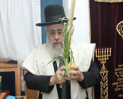 הראשל"צ הגר"י יוסף בנטילת לולב