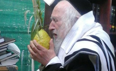 תיעוד: הגר"ש אוירבך בנטילת ארבעת המינים