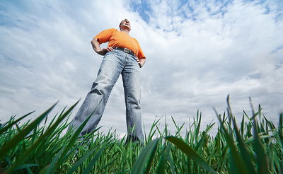אילוסטרציה