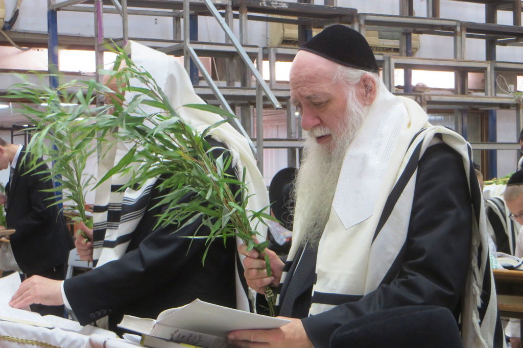 מראות חג הסוכות בישיבת פוניבז' • גלריה