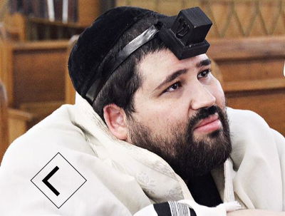 "הרב גוגל". הרב ישראל שניאור