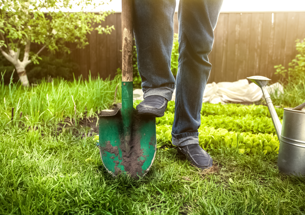 פולין: מקומיים חפרו קברי יהודים וחיפשו אחר זהב