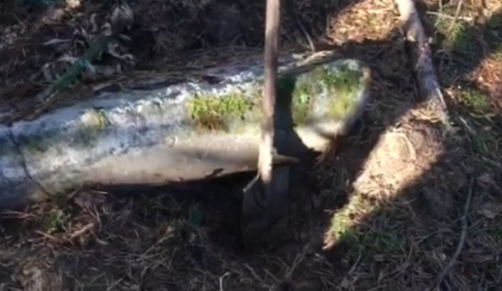 את חפירה שנמצא ביער