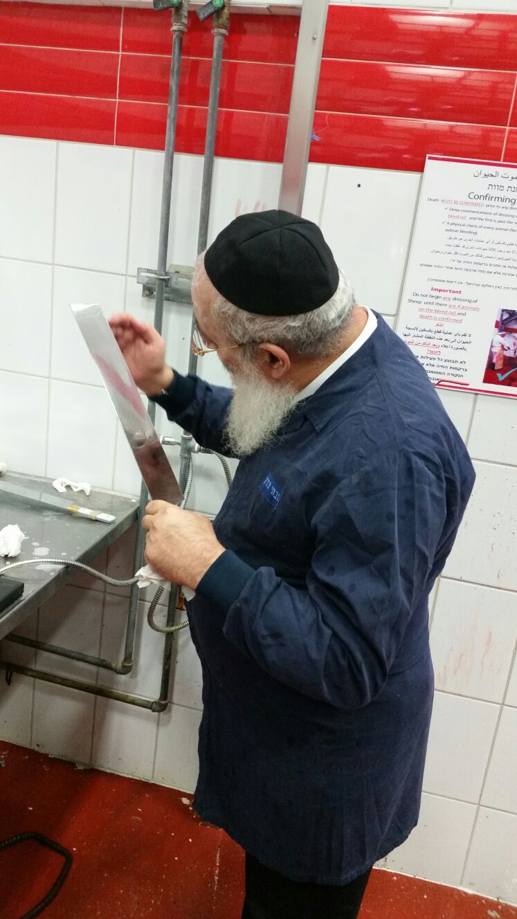 הראשל"צ הגר"ש עמאר בדק את שחיטת 'רבנות ירושלים': "יצאתי עם מסקנות"