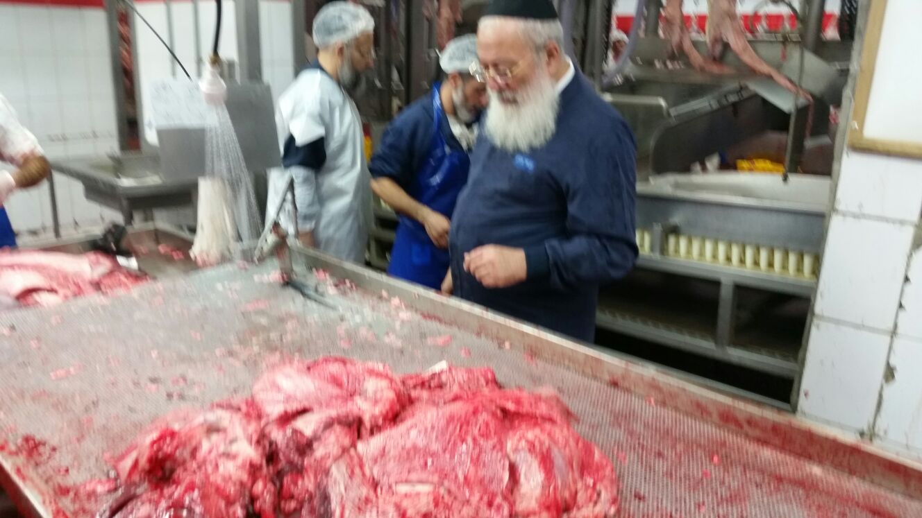 הראשל"צ הגר"ש עמאר בדק את שחיטת 'רבנות ירושלים': "יצאתי עם מסקנות"