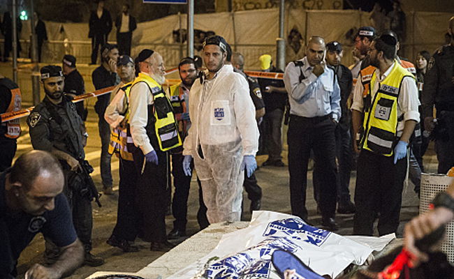 משי זהב בזירה, אמש