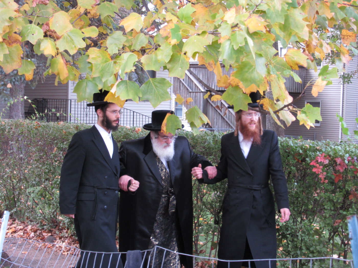 תיעוד: האדמו"ר מויז'ניץ במסע חיזוק בארה"ב