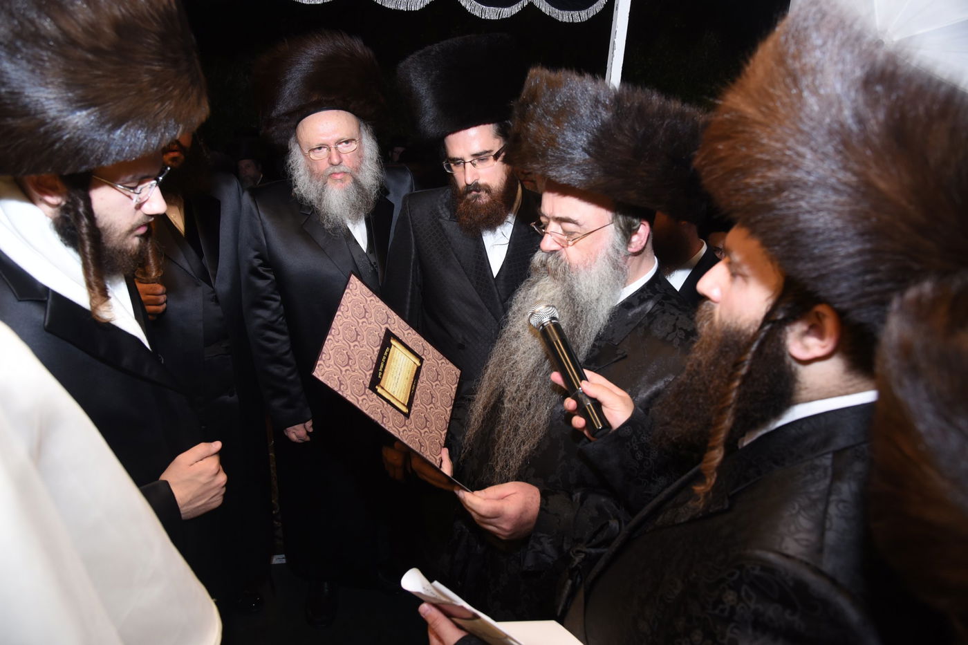 גלריה: חתונת בתו של הרב מרדכי בריסק