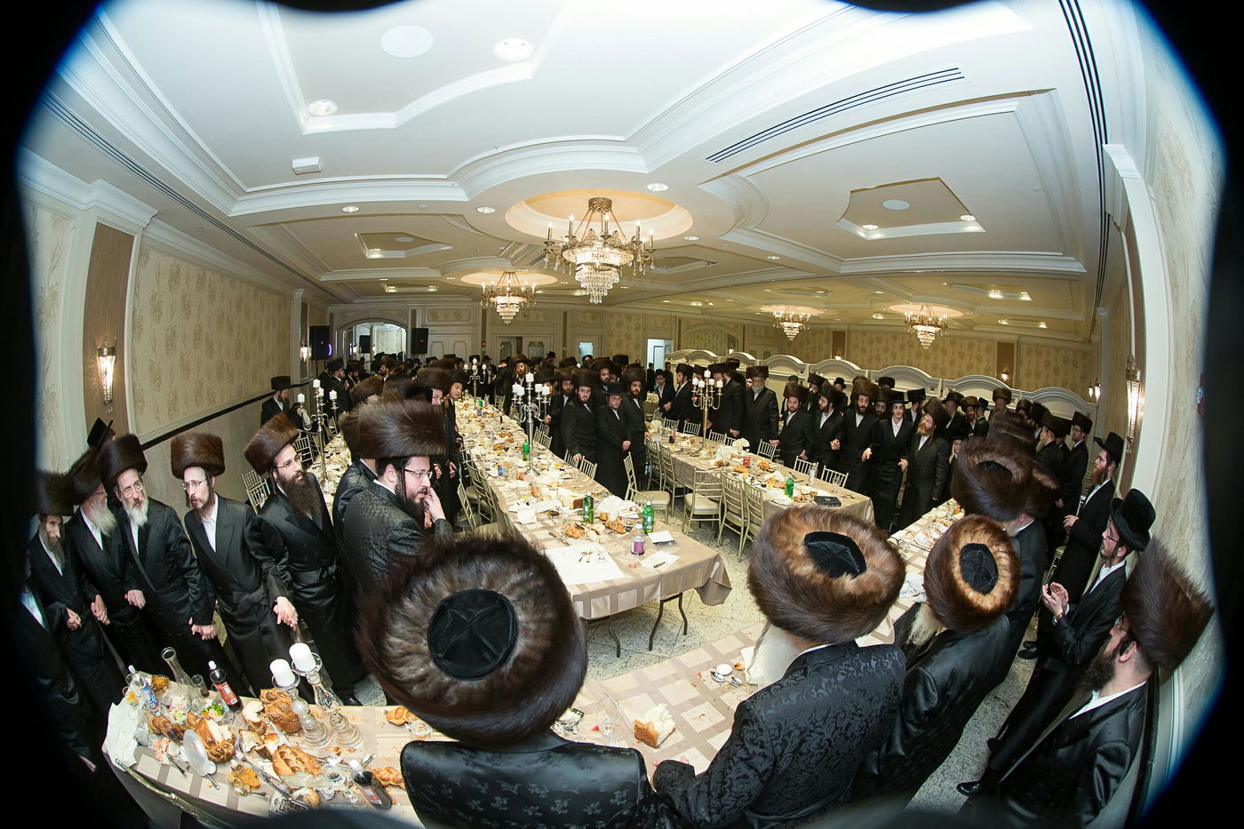 שבע ברכות לכבוד הסב האדמו"ר מסאסוב • גלריה