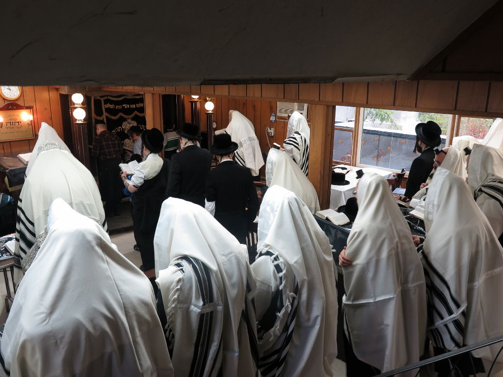 האדמו"ר מויז'ניץ ביקר במוסדות החסידות בניו יורק. צפו בגלרית ענק